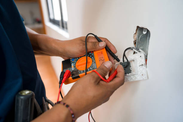 Best Electric Panel Repair  in Cannelton, IN